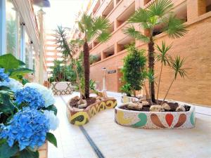 Fotografie z fotogalerie ubytování ACV - Torremar-2ª Linea Planta 4 norte v destinaci Oropesa del Mar