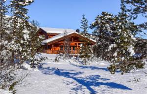 uma cabana de madeira na neve com árvores em Nice Home In Hovden I Setesdal With 5 Bedrooms, Sauna And Wifi em Hovden