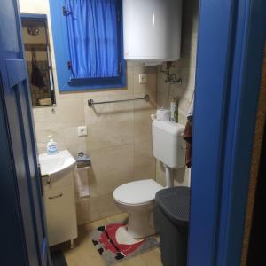 a small bathroom with a toilet and a sink at Székelyföld ,Siklódi Kő Vendégház, Tornácosház in Bartoştana