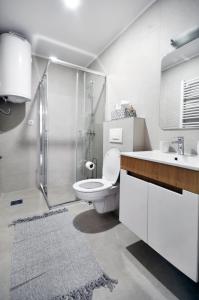 a bathroom with a shower and a toilet and a sink at Apartman Antic 1 in Vrnjačka Banja