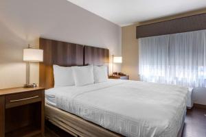 Postel nebo postele na pokoji v ubytování Best Western North Phoenix Hotel