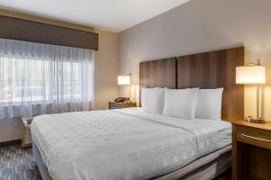 Postel nebo postele na pokoji v ubytování Best Western North Phoenix Hotel