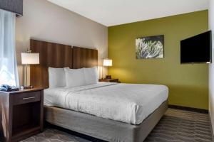Postel nebo postele na pokoji v ubytování Best Western North Phoenix Hotel