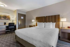 Postel nebo postele na pokoji v ubytování Best Western North Phoenix Hotel