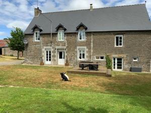 un perro sentado frente a una casa en Welcoming and peaceful bed and breakfast, en Fougerolles-du-Plessis