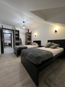 1 Schlafzimmer mit 2 Betten in einem Zimmer in der Unterkunft Appartement haut de gamme avec Jacuzzi Champagnole in Champagnole