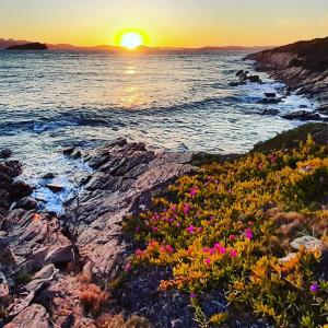 Gallery image of Sailor's House Porto Cervo in Porto Cervo