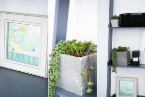 a shelf with plants and a picture on it at Shearwater in Carbis Bay