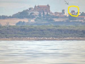 a bird flying over a body of water at Camera Torre Panoramic in Montalto di Castro