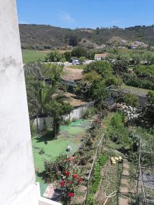 een uitzicht op een tuin met bloemen en planten bij Casa dos Pais in Odeceixe