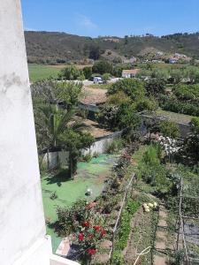 Fotografie z fotogalerie ubytování Casa dos Pais v destinaci Odeceixe