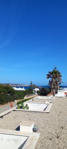 a view of a resort with a palm tree and the ocean at Seaside Villa in Cap d'en Font with Private Pool in Cap d'en Font +9 photos