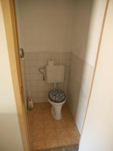 a bathroom with a toilet in a small room at Holiday home OSSA Basecamp in Sint Odiliënberg