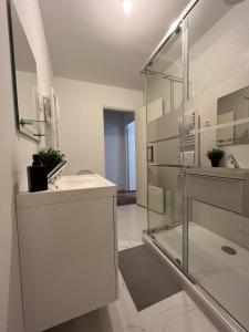 a bathroom with a sink and a glass shower at Convivial PAUL SIBRA-T2-BILLARD- wifi-Vélo in Castelnaudary +3 photos