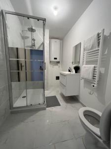 ein Bad mit einer Dusche, einem WC und einem Waschbecken in der Unterkunft Convivial PAUL SIBRA-T2-BILLARD- wifi-Vélo in Castelnaudary