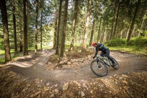 Jazda na bicykli v okolí ubytovania Apartments Pavel