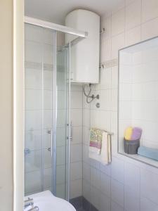 a bathroom with a shower and a toilet and a sink at Family Apartment Miluna in Metajna