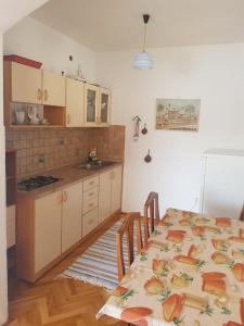 Gallery image of Family Apartment Miluna in Metajna
