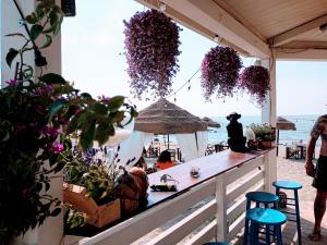 a bar on the beach with flowers and plants at B&B Purple Italy in Fiumicino
