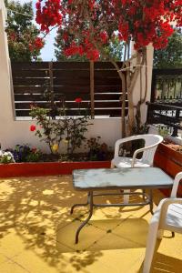 un patio con panchina e un albero con fiori rossi di Funky Nest - A cozy apartment in Zipari a Città di Kos