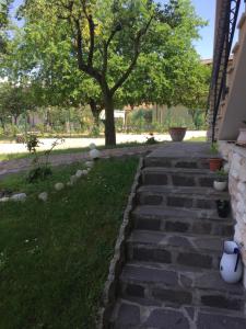 A garden outside Villa Rita