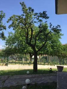 A garden outside Villa Rita