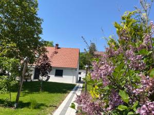 Zahrada ubytování Haus mit Garten Familie Pabst