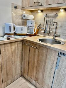 a kitchen with wooden cabinets and a sink at SWEET APP AM SEE in Pönitz am See