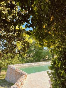 Afbeelding uit fotogalerij van i Trulli di Figazzano in Locorotondo +83 foto's