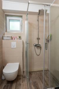 a bathroom with a toilet and a shower at PERLA - small comfy house with the terrace in Prožura