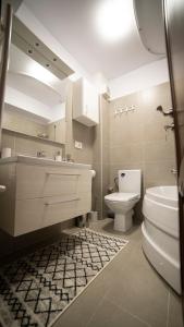 Ballade Apartment في ياش: حمام مع مرحاض بالوعة ومرآة