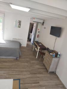 Schlafzimmer mit einem Bett, einem Schreibtisch und einem TV in der Unterkunft villa alex in Toulouse