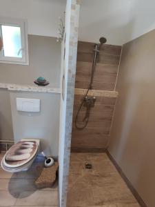 bagno con doccia e servizi igienici di Provence Forcalquier Gîte du Paradis a Forcalquier