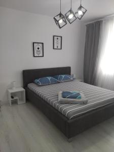 a bedroom with a large bed with blue pillows at Apartament max. confort in Tulcea