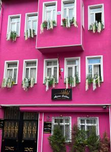 Aycan Sultan Apart Hotel في إسطنبول: مبنى وردي مع نباتات الفخار عليه