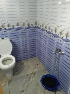 a bathroom with a toilet and a blue wall with plants at sababa village in Nuweiba