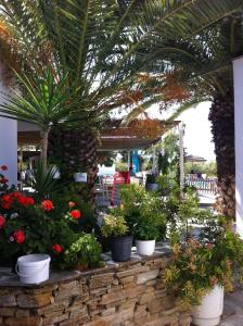 Imagen de la galería de Plaka Camping Naxos, en Plaka