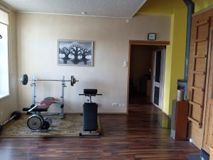 Fitness centrum a/nebo fitness zařízení v ubytování Kauba 6-1 Apartment with Sauna and Yacuzzi
