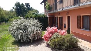 A garden outside Cascina in Alto Piemonte / Piedmont countryhouse