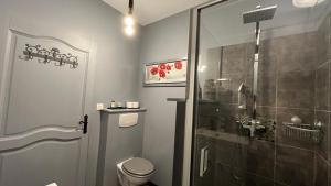 uma casa de banho com uma cabina de duche e um WC. em TENDANCE CAMPAGNE Chambre d'hôtes em Marillac