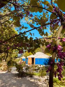 um yurt azul num campo com flores roxas em Les Yourtes Du Béarn - Domaine des deux clos em Pontiacq-Viellepinte