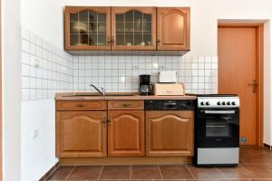 Kuchyňa alebo kuchynka v ubytovaní Apartment Jaga