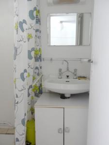 ein Bad mit einem Waschbecken und einem Spiegel in der Unterkunft Maison de 3 chambres avec jardin clos a Teyssieu in Teyssieu