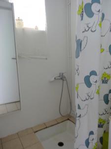 a bathroom with a shower curtain and a window at Maison de 3 chambres avec jardin clos a Teyssieu in Teyssieu