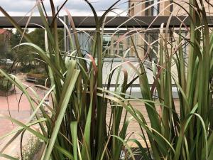 Zahrada ubytování Loft Froenskip Nordsee Park Dangast