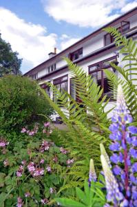 a garden with plants and flowers in front of a building at Ardlogie Guest House in Aviemore