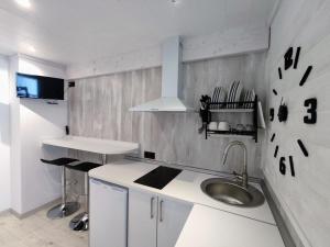 eine weiße Küche mit einer Spüle und einer Theke in der Unterkunft Alojamiento Txokoto in Elizondo