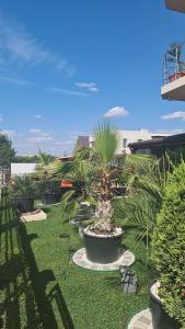 Zahrada ubytování Casa Andu