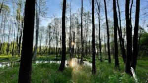 Fotografia z galérie ubytovania Jak u babci na wsi v destinácii Siemichocze
