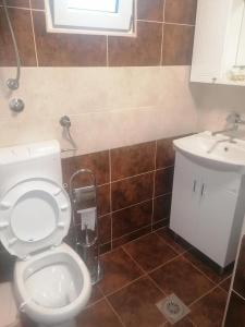 ein Bad mit einem WC und einem Waschbecken in der Unterkunft Apartmani Momčilović in Čanj